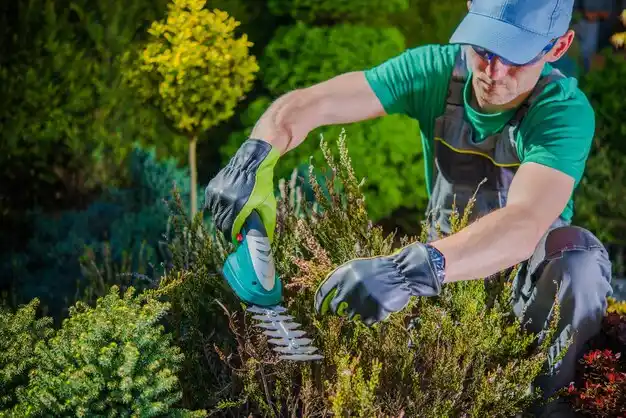 landscaping services Eaton Estates